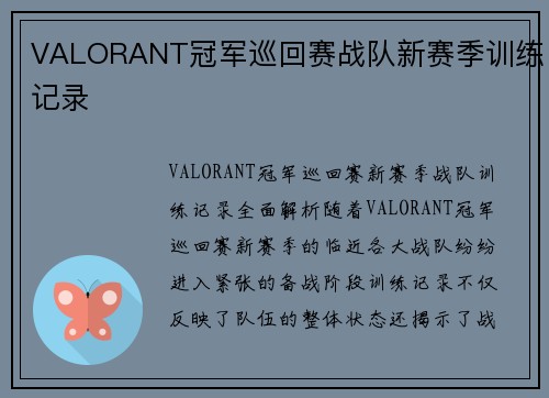 VALORANT冠军巡回赛战队新赛季训练记录