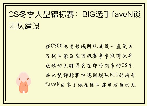 CS冬季大型锦标赛：BIG选手faveN谈团队建设